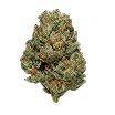 Flower (14g)Marley's Collie