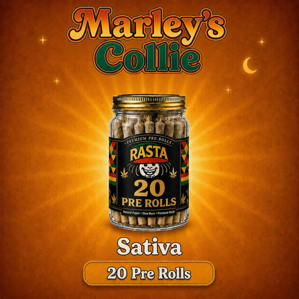 Marley’s Collie - 20 Pack